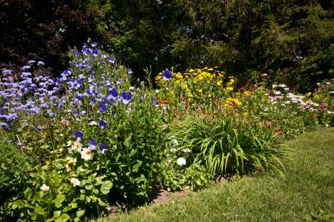 23 Chapel Street Ellsworth ME 04605