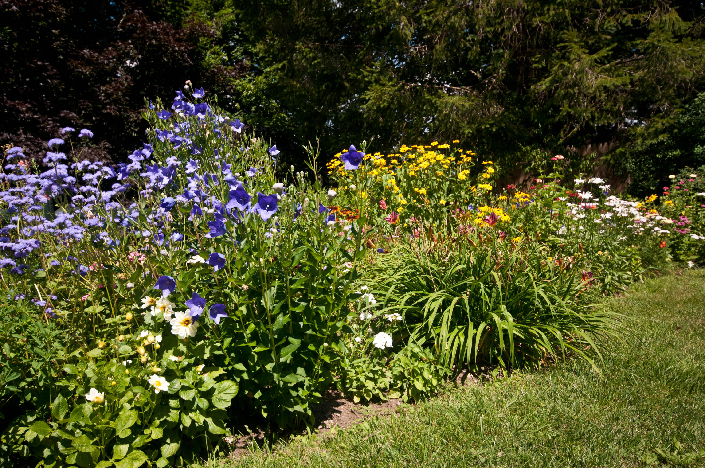 23 Chapel Street Ellsworth ME 04605