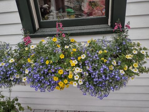 23 Chapel Street Ellsworth ME 04605