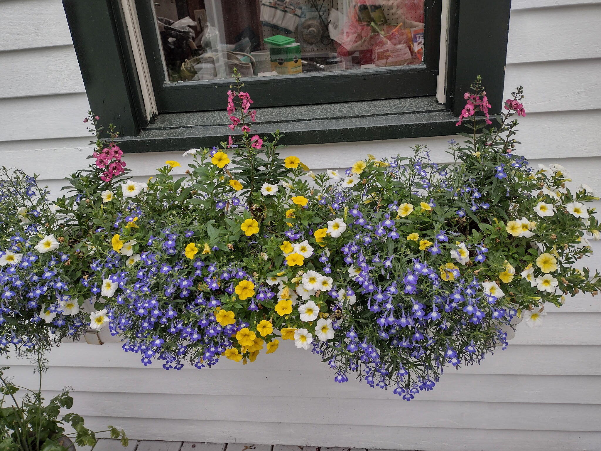 23 Chapel Street Ellsworth ME 04605