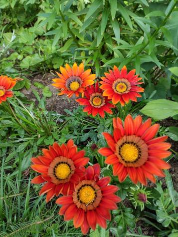 23 Chapel Street Ellsworth ME 04605