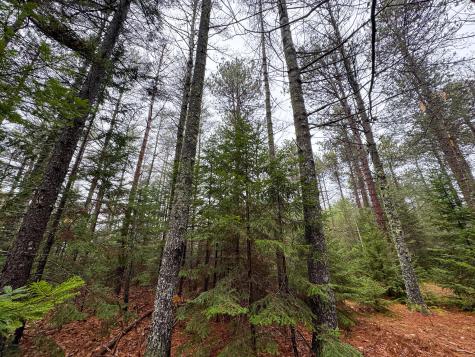 43 Fleming Road Bethel ME 04217