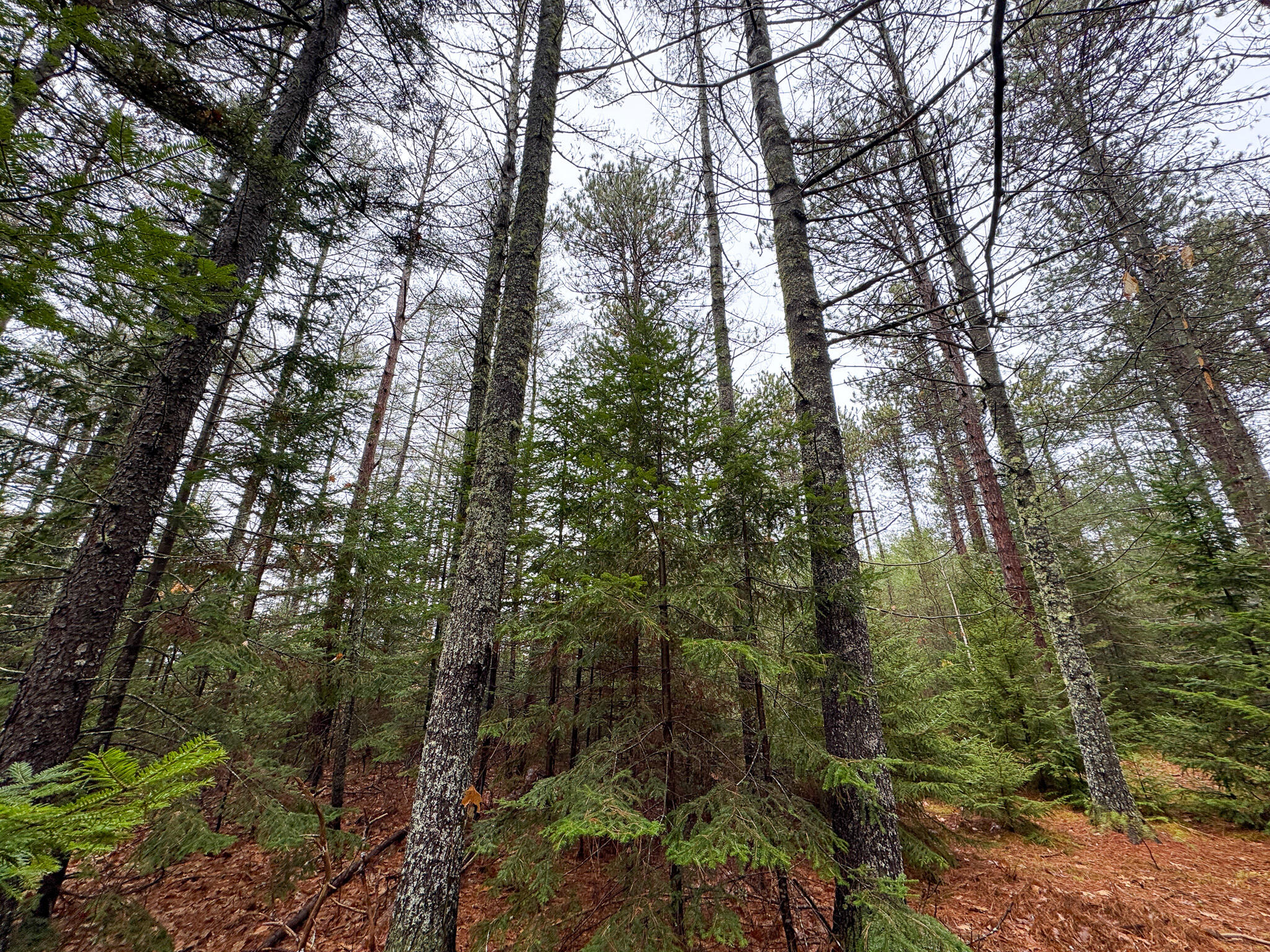 43 Fleming Road Bethel ME 04217