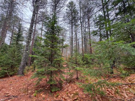 43 Fleming Road Bethel ME 04217