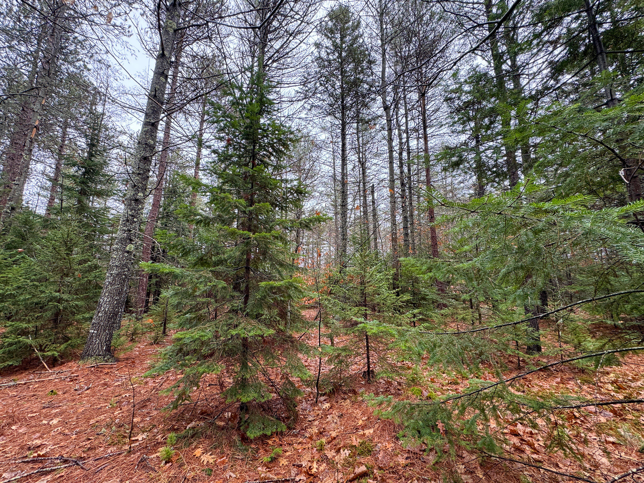 43 Fleming Road Bethel ME 04217