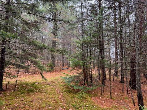 43 Fleming Road Bethel ME 04217