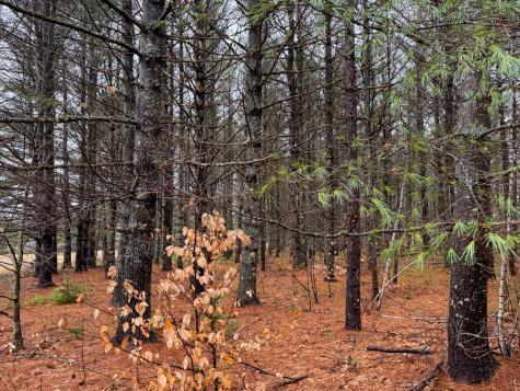 43 Fleming Road Bethel ME 04217