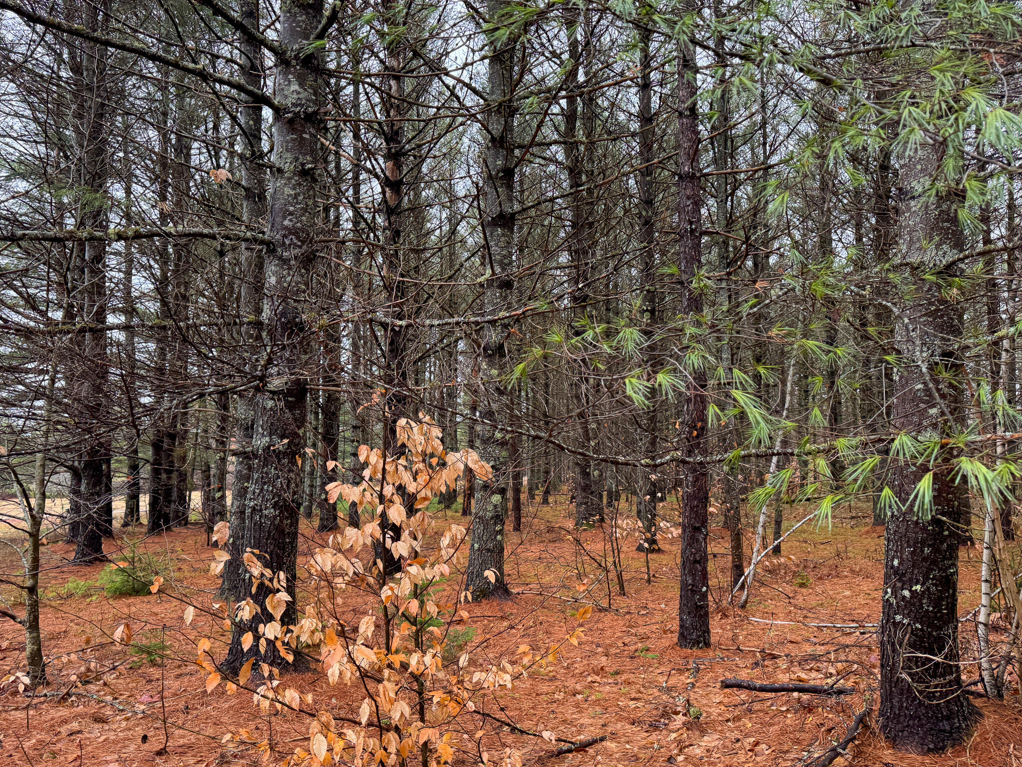 43 Fleming Road Bethel ME 04217