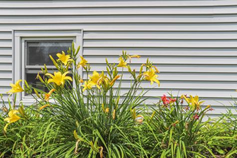 80 Birchvale Drive Portland ME 04102