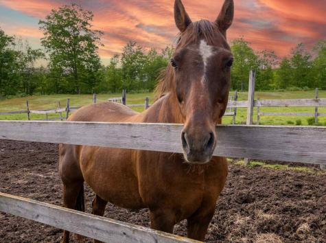 309 North Road Winterport ME 04496