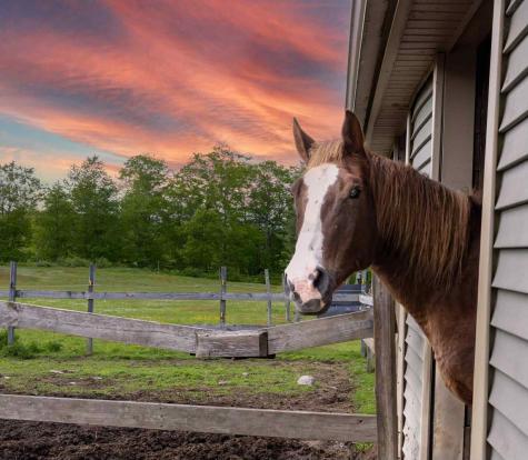 309 North Road Winterport ME 04496