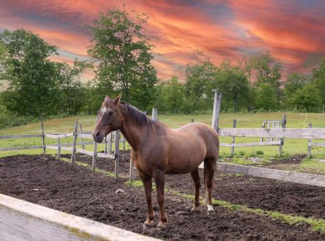 309 North Road Winterport ME 04496