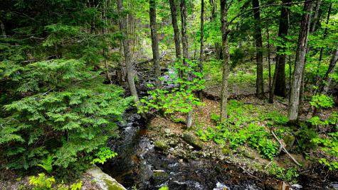 29 Bear Pond Road Waterford ME 04088