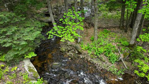 29 Bear Pond Road Waterford ME 04088