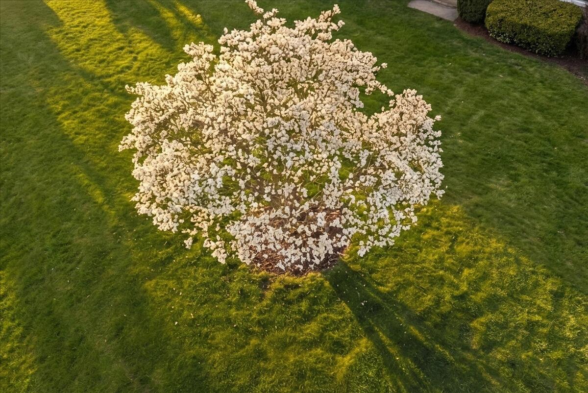 60 N Hill Road Buckfield ME 04220