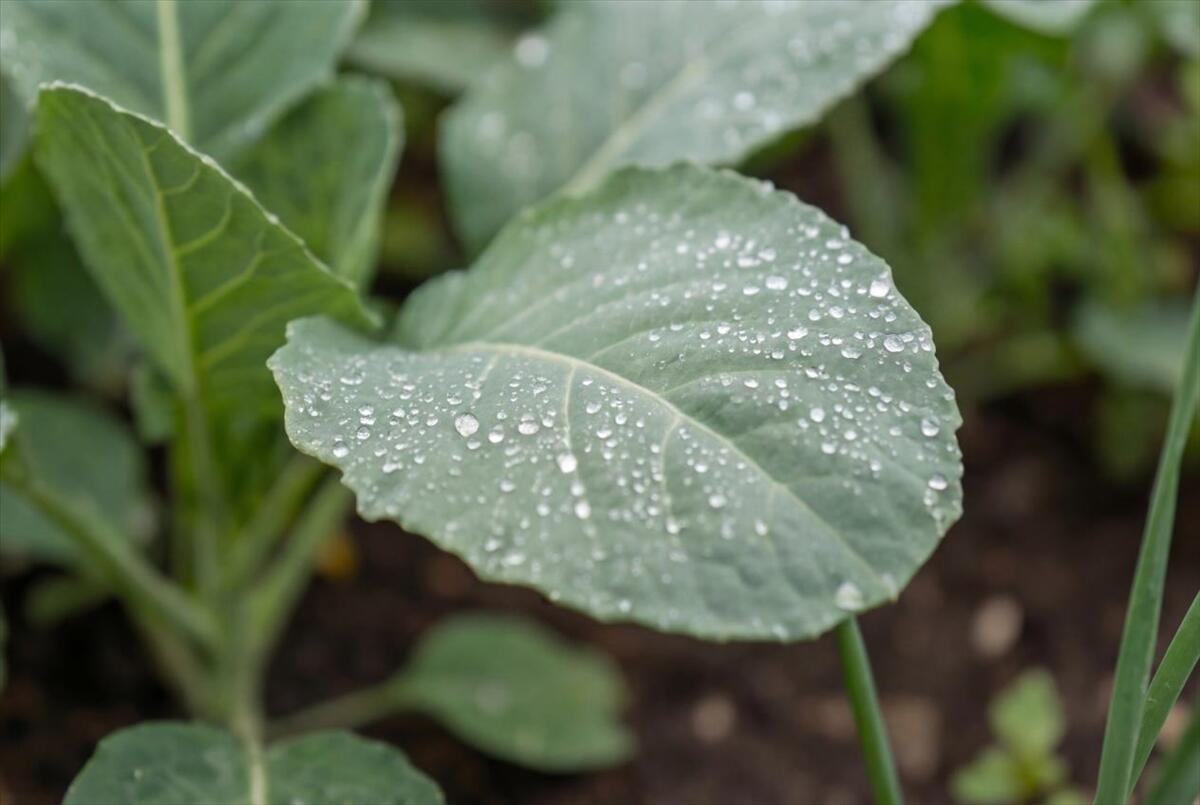 60 N Hill Road Buckfield ME 04220