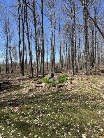 76 Norton Hill Road Dover-foxcroft ME 04426