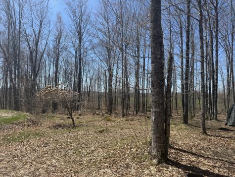 76 Norton Hill Road Dover-foxcroft ME 04426