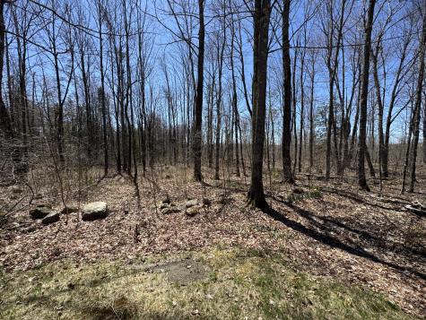 76 Norton Hill Road Dover-foxcroft ME 04426