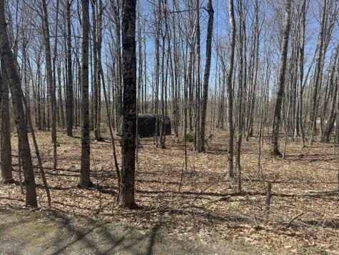 76 Norton Hill Road Dover-foxcroft ME 04426