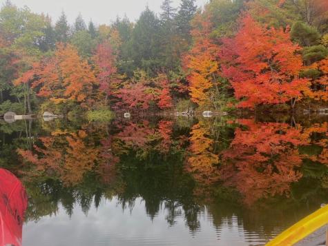 45 Hurd Point Road Dedham ME 04429