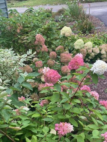 45 Hurd Point Road Dedham ME 04429