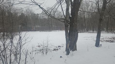 143 Cheryl Lane Oxford ME 04270