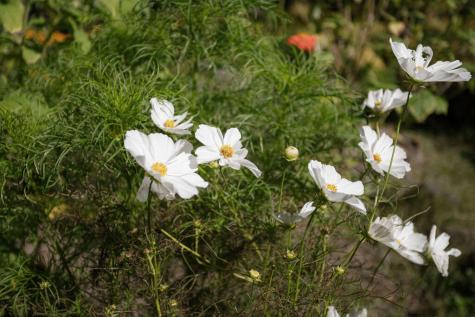 25 Blue Rock Road Industry ME 04938