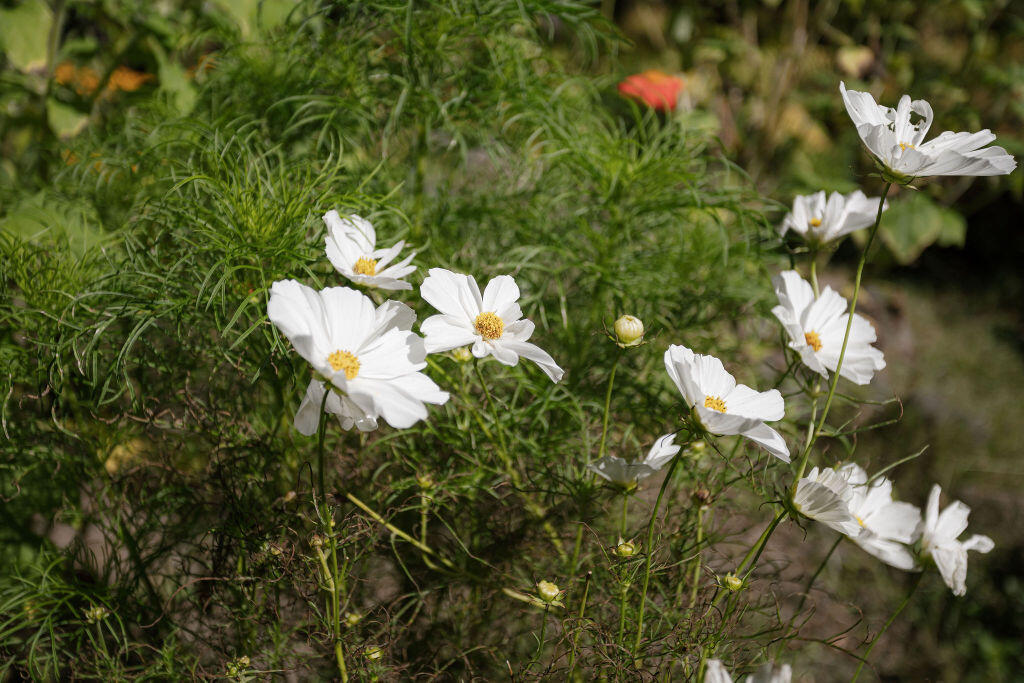 25 Blue Rock Road Industry ME 04938