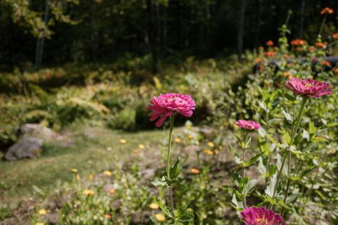 25 Blue Rock Road Industry ME 04938