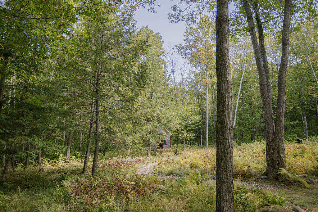 25 Blue Rock Road Industry ME 04938