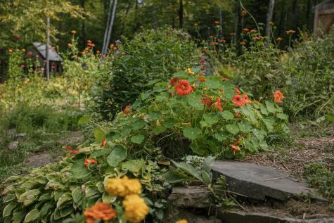 25 Blue Rock Road Industry ME 04938