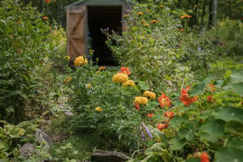 25 Blue Rock Road Industry ME 04938