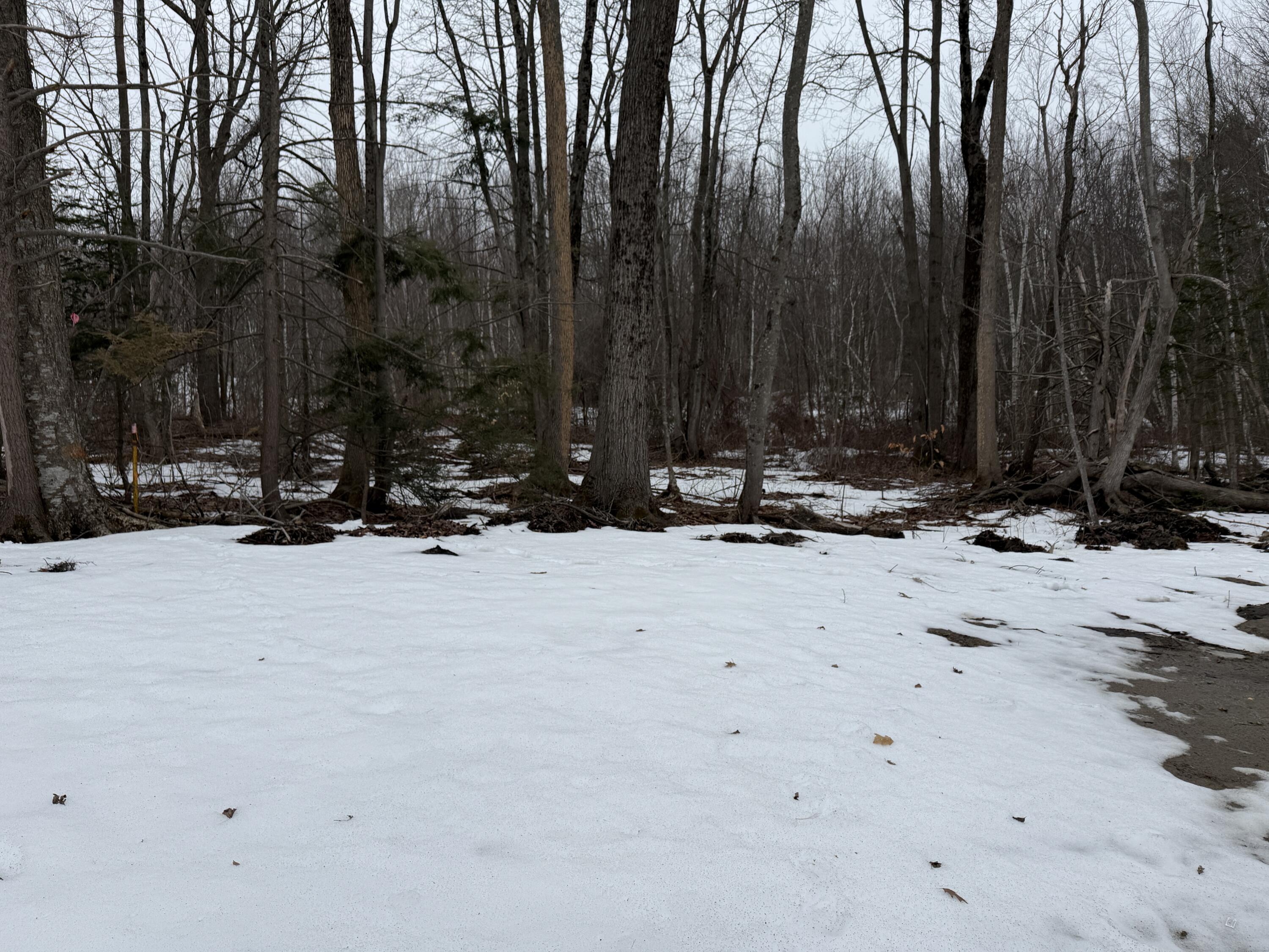 5 White Oak Lane Biddeford ME 04005