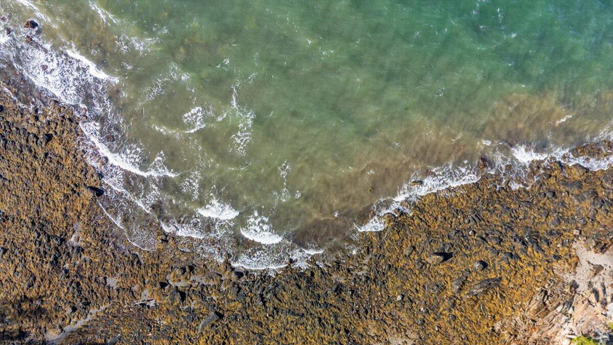 376 West Bay Road Islesboro ME 04848