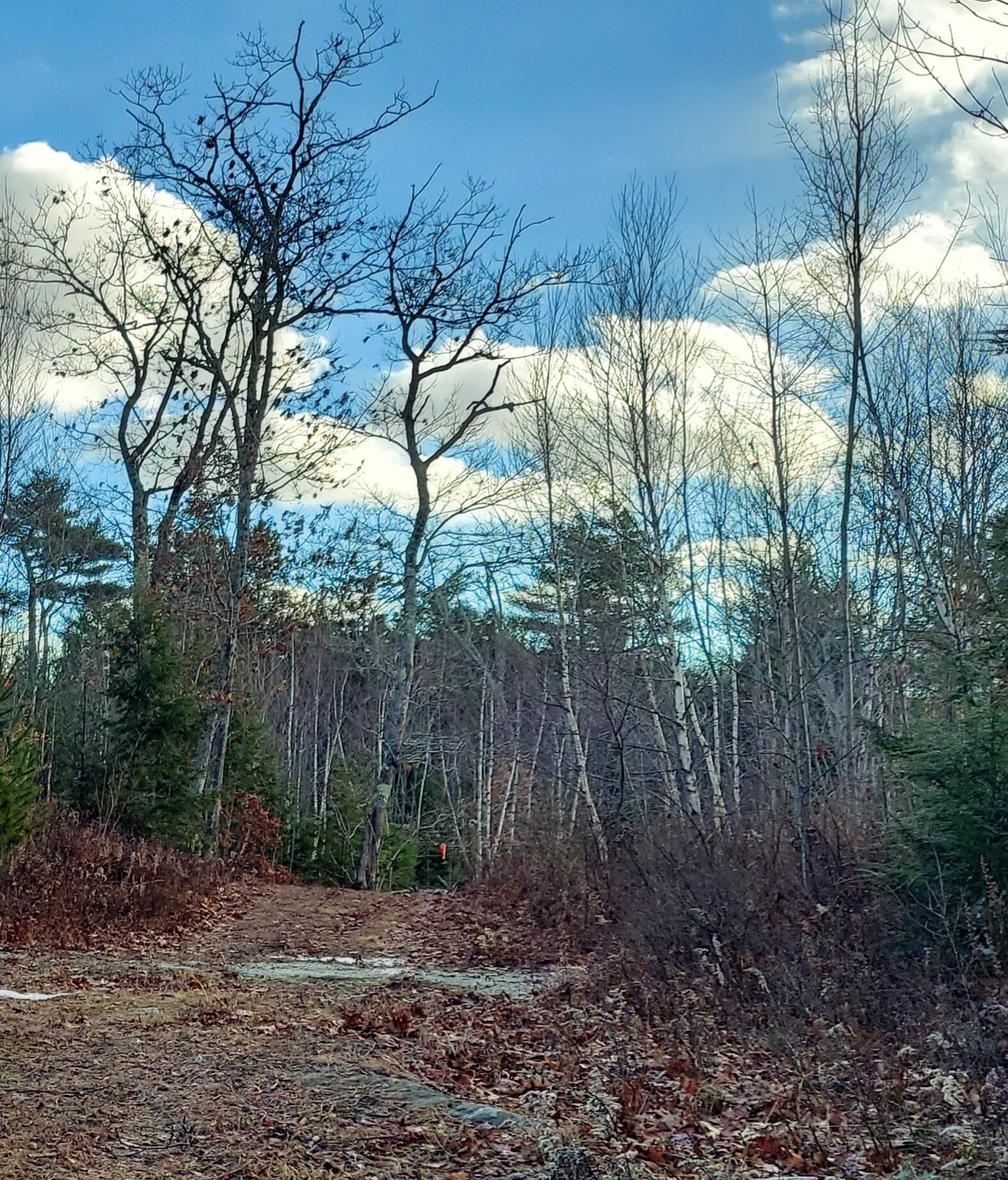 28 Van Der Werf Drive West Bath ME 04530