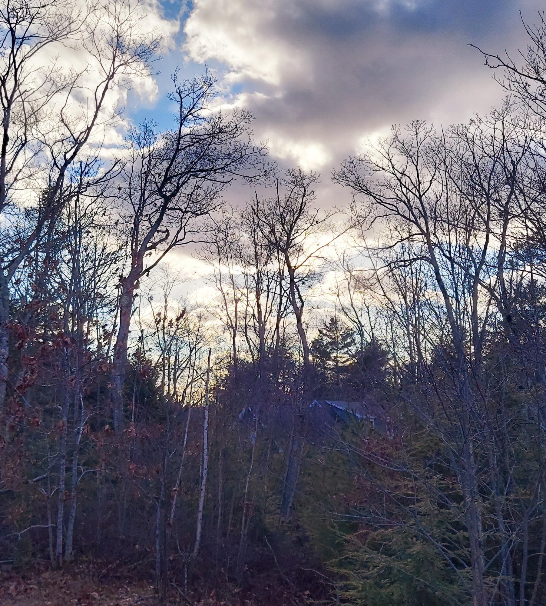 28 Van Der Werf Drive West Bath ME 04530