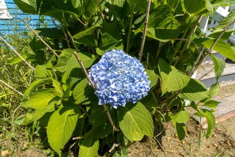 606 Airline Road Amherst ME 04605