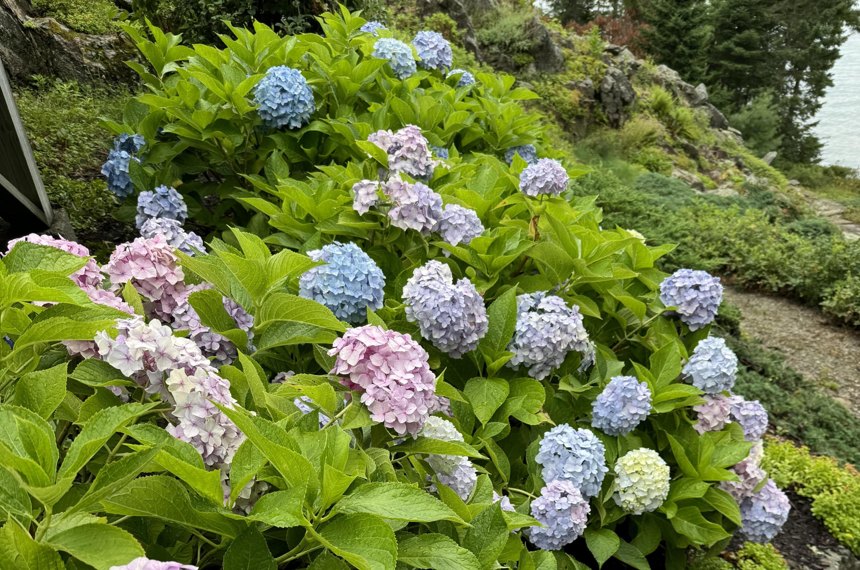 36 Roxmont Road Rockport ME 04856