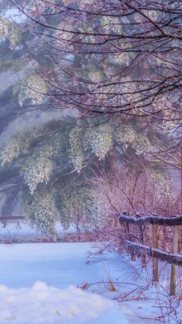 760 Mountain Road Parsonsfield ME 04047