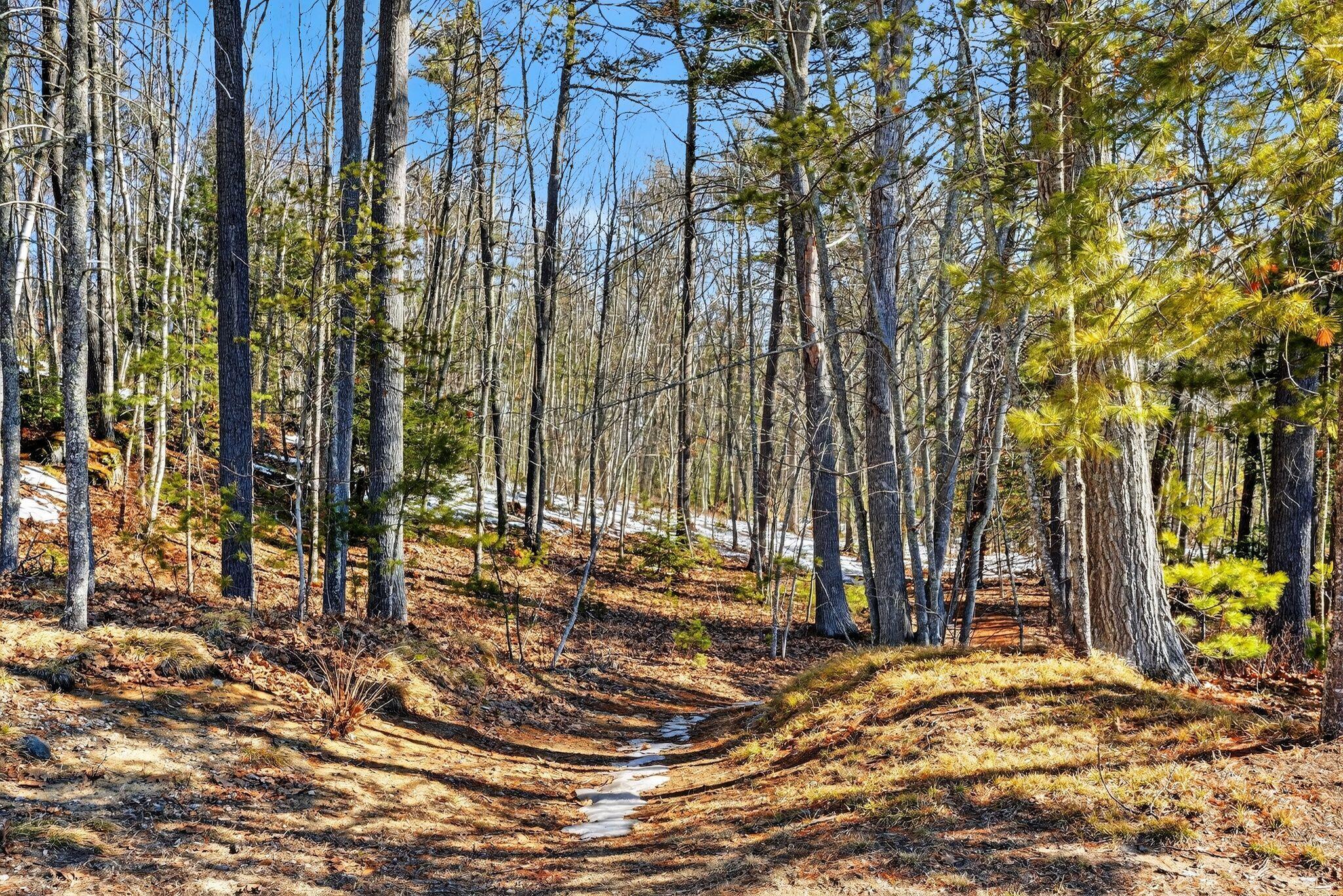 37 Kapok Street Old Orchard Beach ME 04064