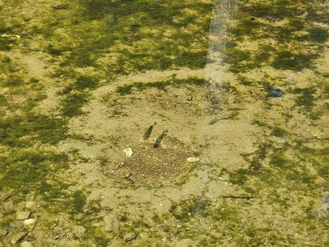 245 Peacepipe Drive Litchfield ME 04350