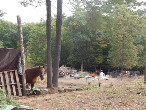 125 Corn Hill Road Brownfield ME 04010