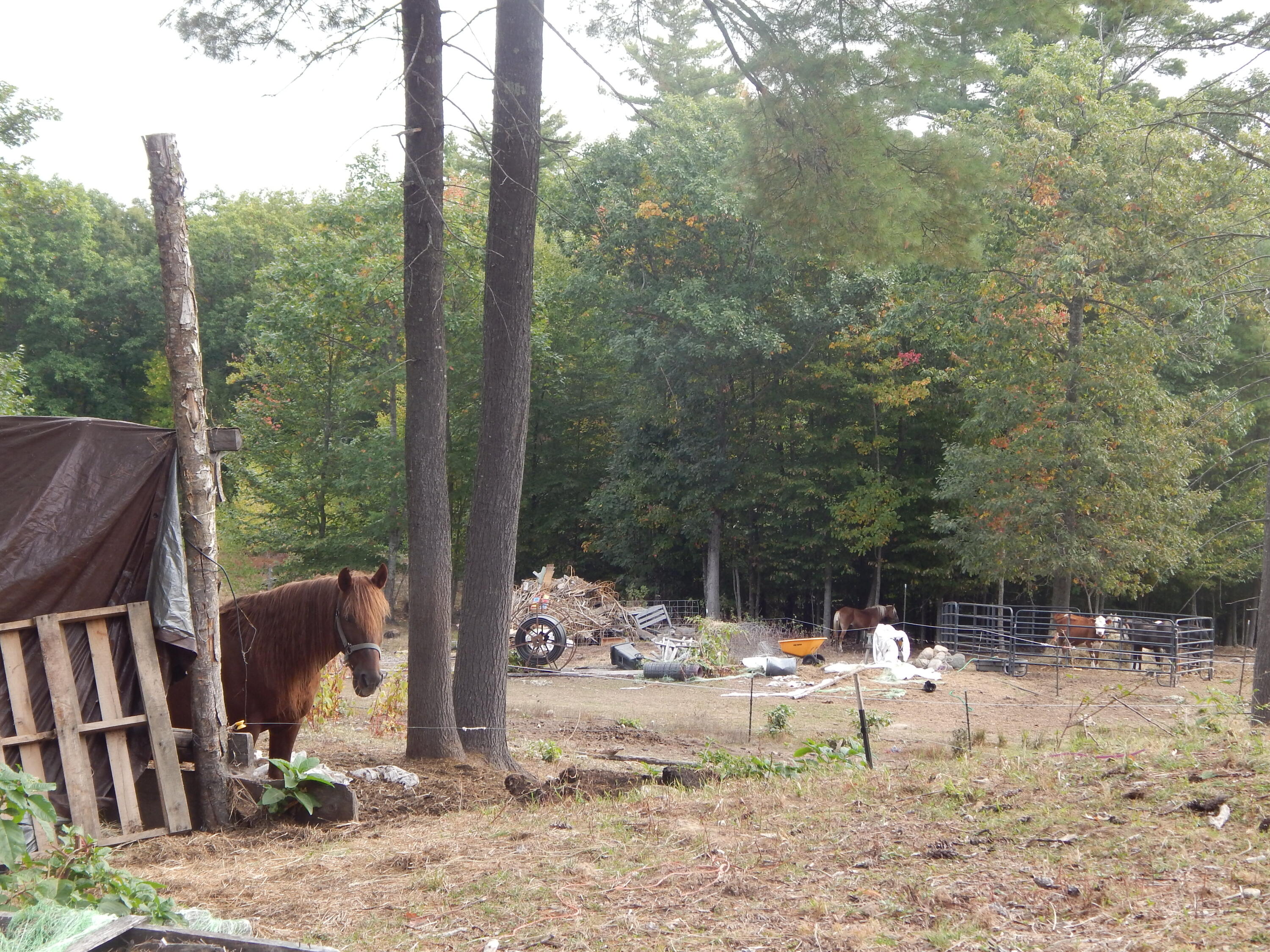 125 Corn Hill Road Brownfield ME 04010