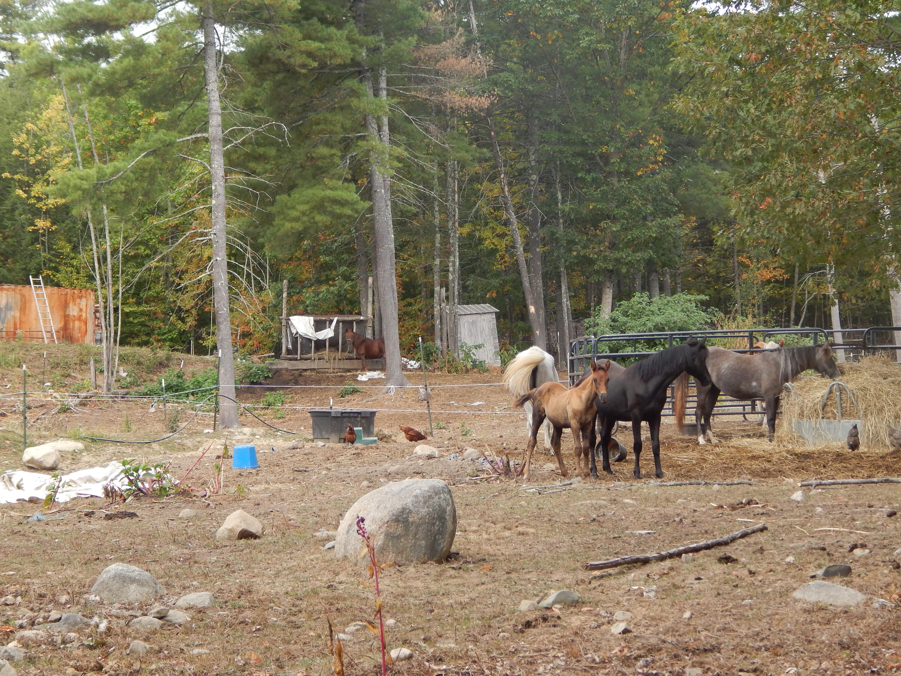 125 Corn Hill Road Brownfield ME 04010