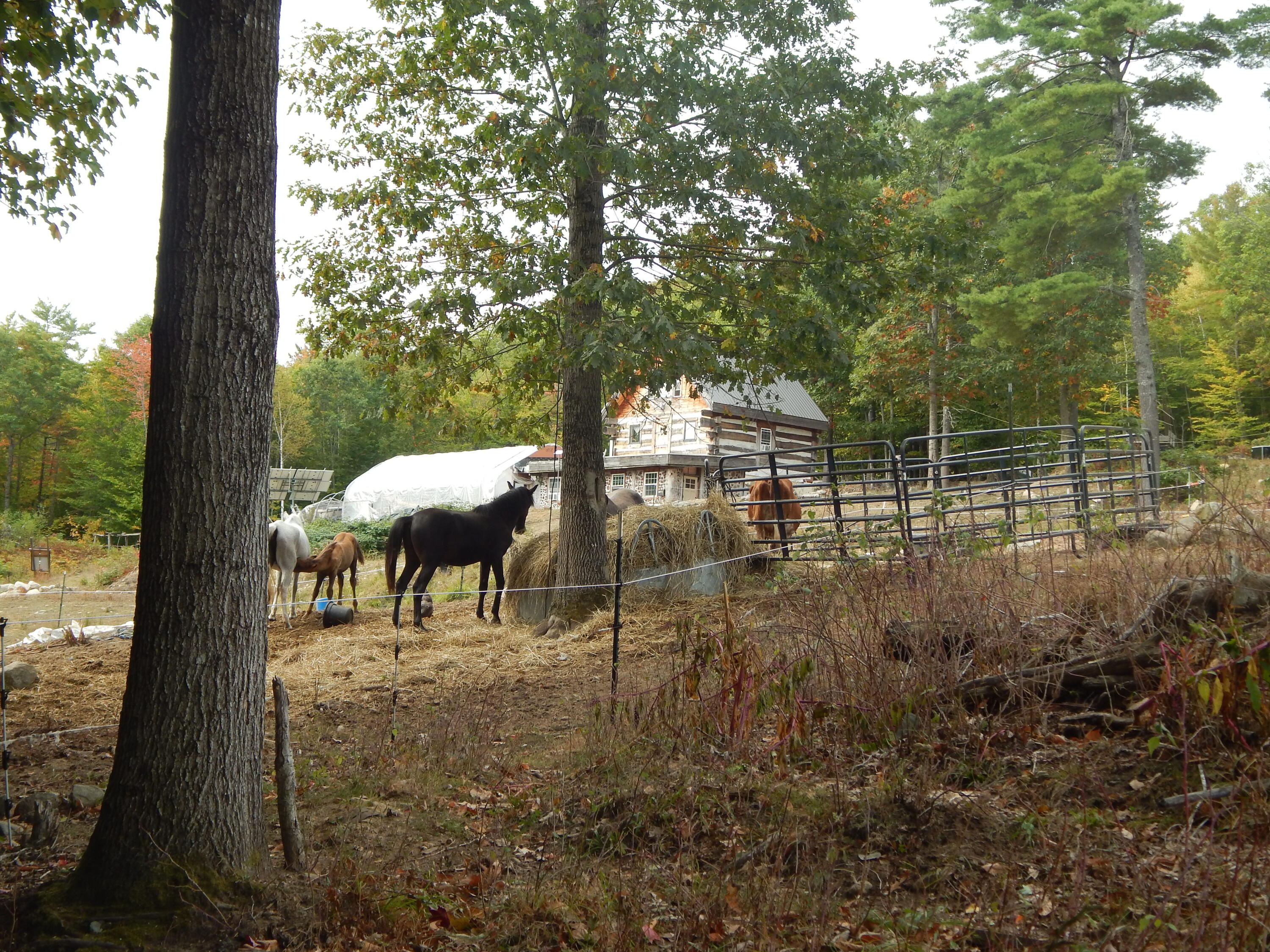 125 Corn Hill Road Brownfield ME 04010