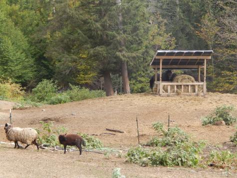 125 Corn Hill Road Brownfield ME 04010