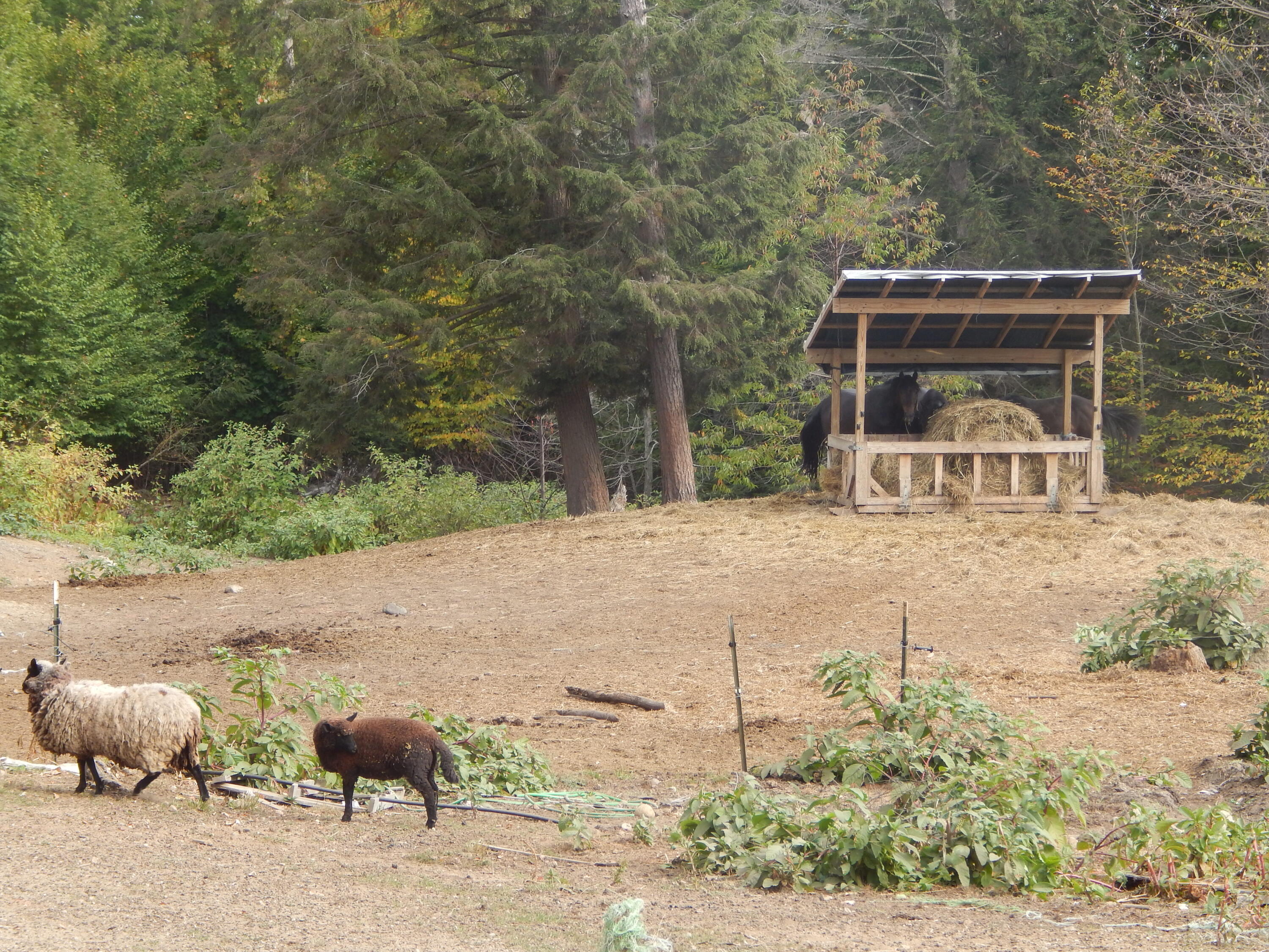 125 Corn Hill Road Brownfield ME 04010