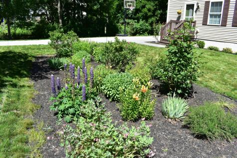 182 Hicks Street Portland ME 04103