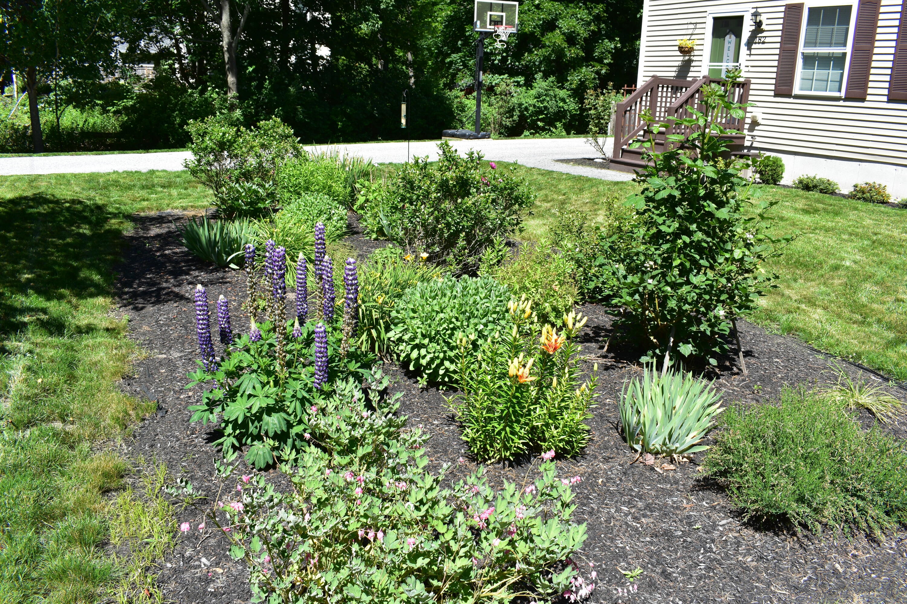 182 Hicks Street Portland ME 04103